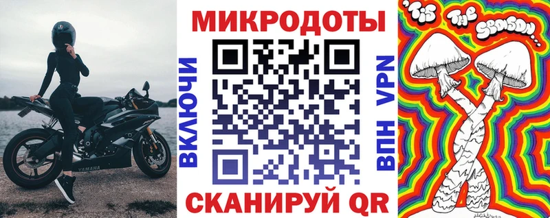 сколько стоит  Заволжье  Псилоцибиновые грибы GOLDEN TEACHER 