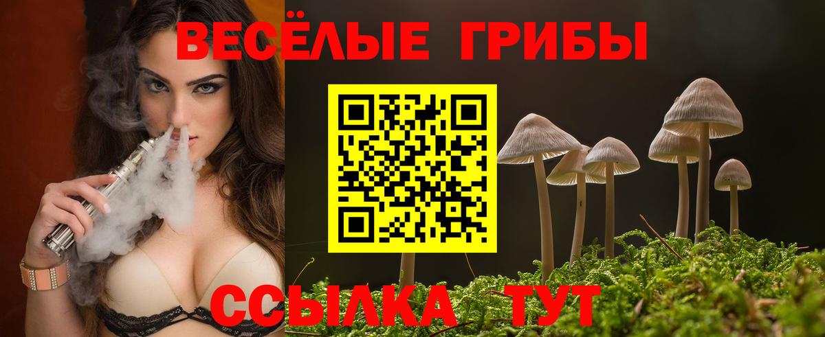 Псилоцибиновые грибы MAGIC MUSHROOMS  Вход с VPN  Галлюциногенные грибы ЛСД  Заволжье 